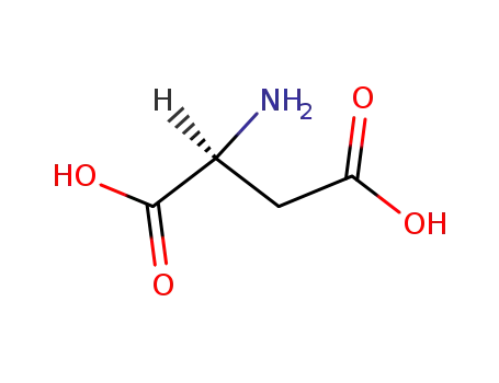 Molecular Structure of 56-84-8 (L-Aspartic acid)