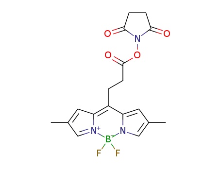 3-(4,4-difluoro-2,6-dimethyl-4-bora-3a,4a-diaza-s-indacene-8-yl)propionic acid succinimidyl ester