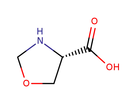 Molecular Structure of 45521-08-2 ((S)-Oxazolidine-4-carboxylic acid)