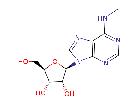 N6-methyladenosine cas no. 1867-73-8 98%