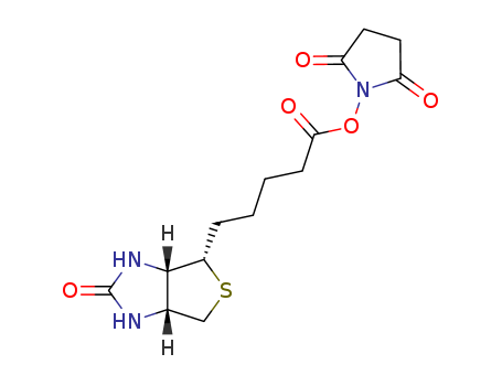 (+)-Biotin N-hydroxysuccinimide ester(35013-72-0)