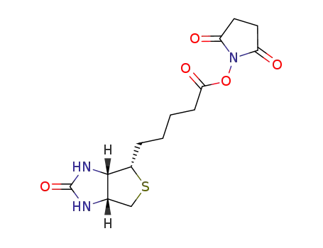 Molecular Structure of 35013-72-0 (BIOTIN-NHS)