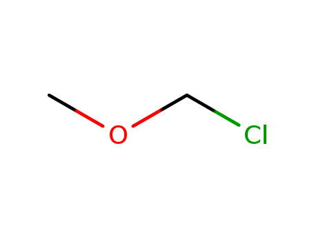 chloro(methoxy)methane 107-30-2