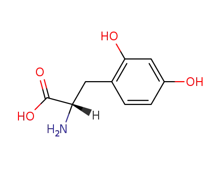 2,4-dihydroxy-L-phenylalanine