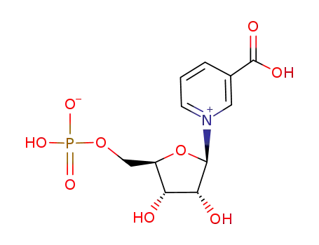 nicotinic acid riboside 5'-monophosphate