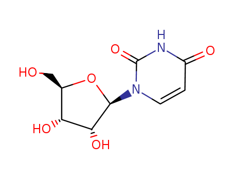 58-96-8,Uridine,1-[3,4-dihydroxy-5-(hydroxymethyl)tetrahydrofuran-2-yl]-1H- pyrimidine-2,4-dione;1-[(3R,4R,5R)-3,4-dihydroxy-5-(hydroxymethyl)oxolan-2-yl]pyrimidine-2,4-dione;beta-D-Ribofuranoside;2,4(1H,3H)-pyrimidinedione-1;1-beta-D-ribofuranosyl- (7CI);Uridine & 3-Azido-3-deoxythymidine;1-[(2S,3S,4S,5S)-3,4-dihydroxy-5-(hydroxymethyl)oxolan-2-yl]pyrimidine-2,4-dione;2,4(1H,3H)-pyrimidinedione, 1-beta-D-ribofuranosyl-;1-beta-D-Ribofuranosyluracil;1-.beta.-D-Ribofuranosyluracil & Thymidine, 3-azido-3-deoxy-;Uridin;Uracil, 1-.beta.-D-ribofuranosyl-;Uracil, 1-beta-L-ribofuranosyl-;