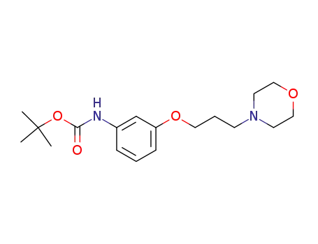 tert-butyl 3-(3-morpholinopropoxy)phenylcarbamate