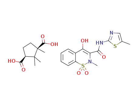 meloxicam (+)-camphoric acid