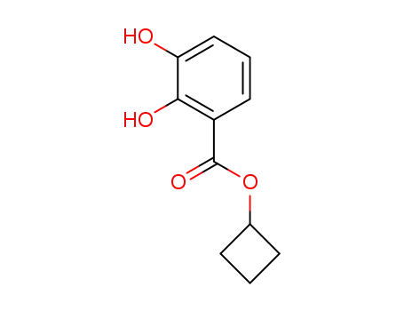 cyclobutyl-2,3-dihydroxybenzoate
