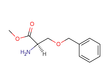 Molecular Structure of 84907-81-3 (D-Serine, O-(phenylmethyl)-, methyl ester)