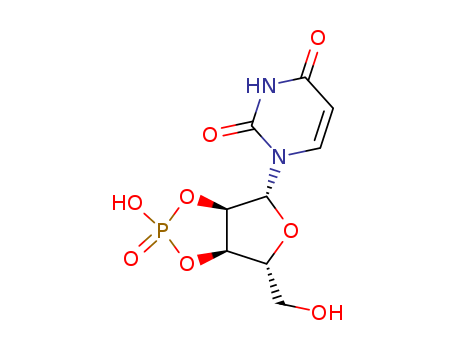 Uridine, cyclic 2,3-(hydrogen phosphate)