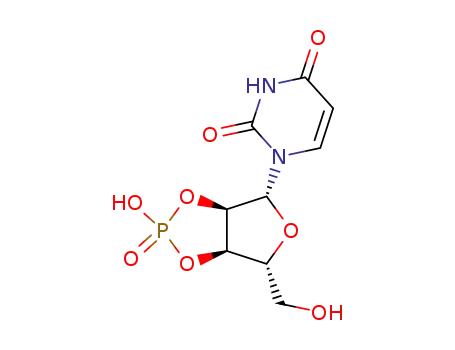Molecular Structure of 606-02-0 (Uridine, cyclic 2,3-(hydrogen phosphate))