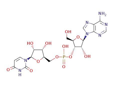 Molecular Structure of 3051-84-1 (Uridine, adenylyl-(3'&reg;5')-)