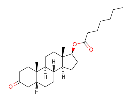 3-oxo-5β-androstan-17β-yl heptanoate