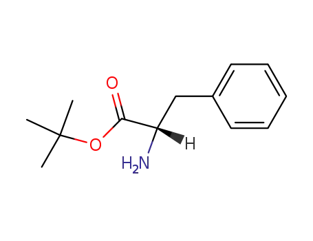 Molecular Structure of 16874-17-2 ((S)-3-PHENYLALANINE T-BUTYL ESTER)