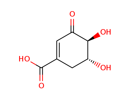 (-)-3-Dehydroshikimic Acid