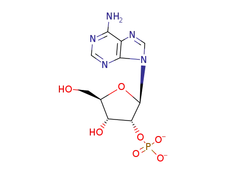 2'-monophosphate of adenosine