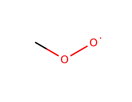 Molecular Structure of 2143-58-0 (methyldioxidanyl)