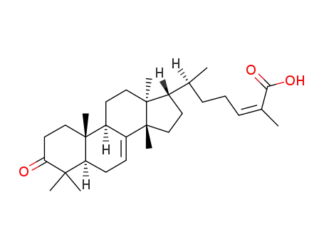 Molecular Structure of 514-49-8 ((Z)-Masticadienonic acid)