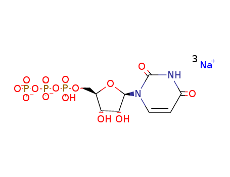 19817-92-6,Uridine-5'-triphosphoric acid trisodium salt,Uridine5'-(tetrahydrogen triphosphate), trisodium salt (8CI,9CI);NSC 20260;TrisodiumUTP;UTP trisodium salt;Uridine-5'-triphosphate trisodium salt;Utipina;