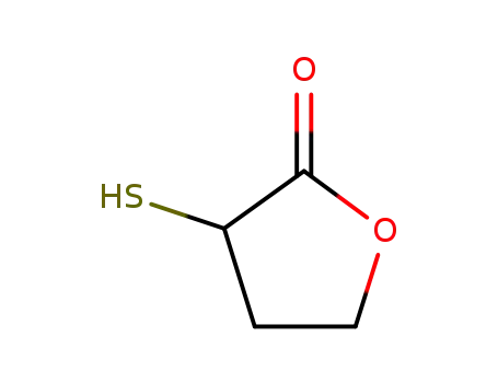 Molecular Structure of 14032-62-3 (3-Mercapto-4,5-dihydrofuran-2(3H)-one)