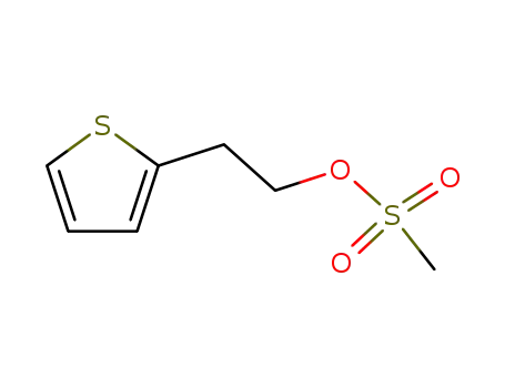 Molecular Structure of 61380-07-2 (2-(2-thienyl)ethyl methanesulphonate)