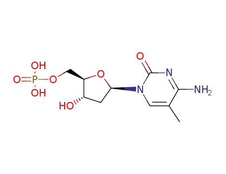 Deoxy-5-methylcytidylic acid