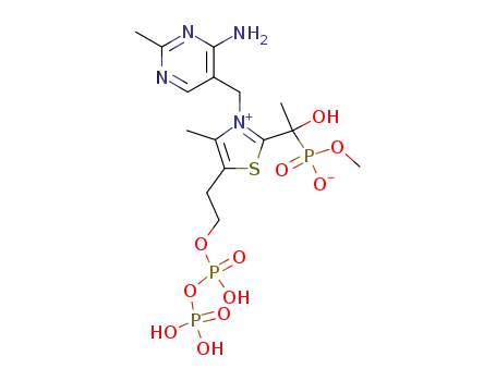 3-(4-amino-2-methyl-pyrimidin-5-ylmethyl)-2-[1-hydroxy-1-(hydroxy-methoxy-phosphoryl)-ethyl]-4-methyl-5-(2-trihydroxydiphosphoryloxy-ethyl)-thiazolium betaine