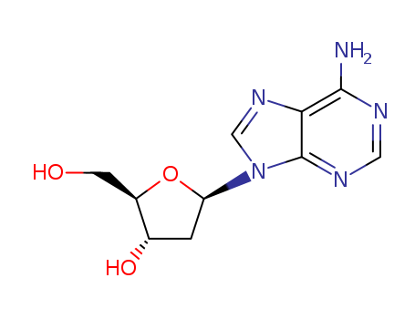 958-09-8,2'-Deoxyadenosine,b-D-Ribofuranose, 1-(6-amino-9H-purin-9-yl)-1,2-dideoxy-;b-D-erythro-Pentofuranoside, adenine-9 2-deoxy-;167:PN: US20040053876 SEQID: 167 unclaimed DNA;9-(2-Deoxy-b-D-erythro-pentofuranosyl)adenine;9H-Purin-6-amine,9-(2-deoxy-b-D-erythro-pentofuranosyl)-;9H-Purin-6-amine, 9-(2-deoxy-b-D-ribofuranosyl)-;Adenine deoxyribonucleoside;Adenine deoxyribose;Adenyldeoxyriboside;Deoxyadenosine;Desoxyadenosine;NSC 141848;NSC 143510;NSC 83258;(2R,3S,5R)-5-(6-Amino-9H-purin-9-yl)-2-(hydroxymethyl)tetrahydro-3-furanol;9-(2-deoxy-β-D-erythro-pentofuranosyl)-9H-Purin-6-amine;