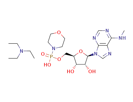 6-N-methyladnenosine 5'-monophosphate morpholidated triethylammonium salt