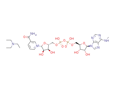 6-N-methyl nicotinamide adenine dinucleotide triethylammonium salt