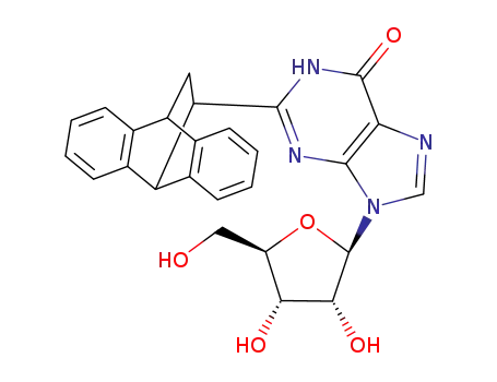 2-<(9'',10''-dihydro-9'',10''-ethano)anthracen-11''-yl>inosine
