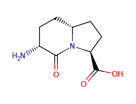 (3S,6R,8aR)-6-Amino-5-oxo-octahydro-indolizine-3-carboxylic acid