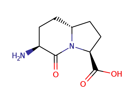 (3S,6S,8aR)-6-Amino-5-oxo-octahydro-indolizine-3-carboxylic acid