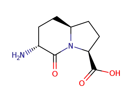 (3S,6R,8aS)-6-Amino-5-oxo-octahydro-indolizine-3-carboxylic acid