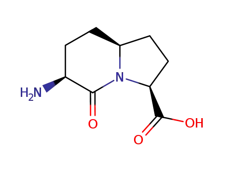 (3S,6S,8aS)-6-Amino-5-oxo-octahydro-indolizine-3-carboxylic acid