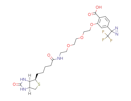 2-[2-(2-{2-[5-(2-oxo-hexahydro-thieno[3,4-d]imidazol-6-yl)-pentanoylamino]-ethoxy}-ethoxy)-ethoxy]-4-(3-trifluoromethyl-3H-diazirin-3-yl)-benzoic acid