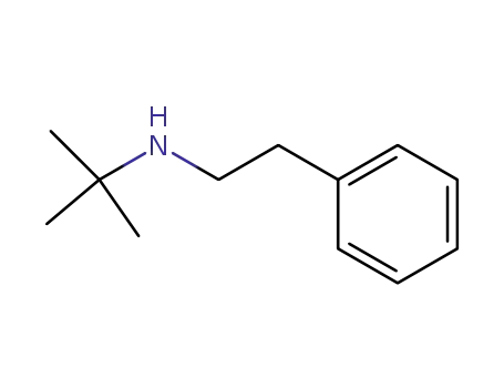 Molecular Structure of 24070-10-8 (Benzeneethanamine, N-(1,1-dimethylethyl)-)