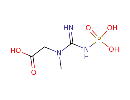 Molecular Structure of 67-07-2 (Creatine phosphate)