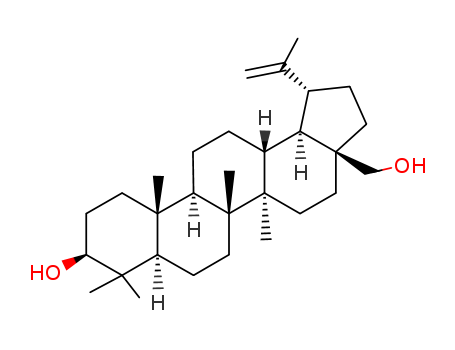 Soluble BETULIN, Liposomal BETULIN, BETULIN NanoEmulsion, NanoActive BETULIN