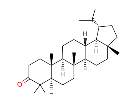 Molecular Structure of 1617-70-5 (LUPENONE)