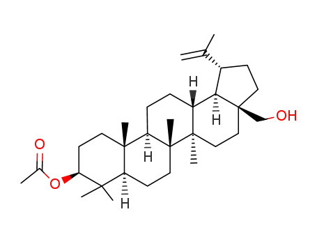 Molecular Structure of 27570-20-3 (Betulin-3-acetate)