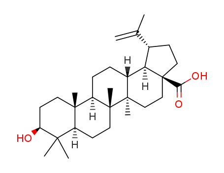 Betulinic acid(472-15-1)