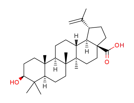 Molecular Structure of 472-15-1 (Betulinic acid)