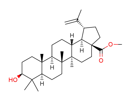 methyl betulinate