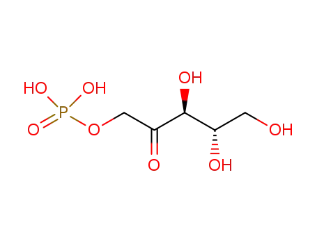 L-ribulose 1-phosphate