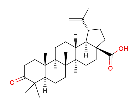 Molecular Structure of 4481-62-3 (Betulonicacid)