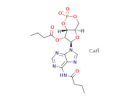 calcium dibutyryl cyclic adenosine monophosphate