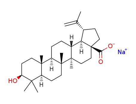 sodium betulinate