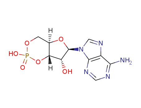 60-92-4,Cyclic AMP,3',5'-AMP;AMPc;Adenosine 3',5'-cyclophosphate;Adenosine 3',5'-monophosphate;Adenosine 3',5'-phosphate;Adenosine cyclic 3',5'-monophosphate;Adenosine cyclic monophosphate;Cyclic 3',5'-AMP;Cyclic3',5'-adenylic acid;Cyclic adenosine 3',5'-monophosphate;Cyclicadenosine 3',5'-phosphate;NSC 143670;NSC 94017;cAMP;
